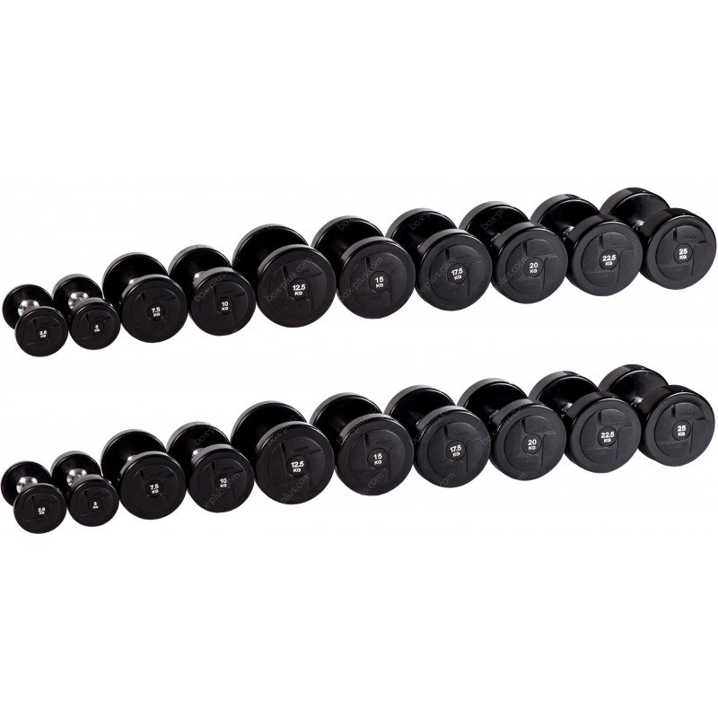 Гантельный ряд 2,5 кг - 25 кг (10 пар)
